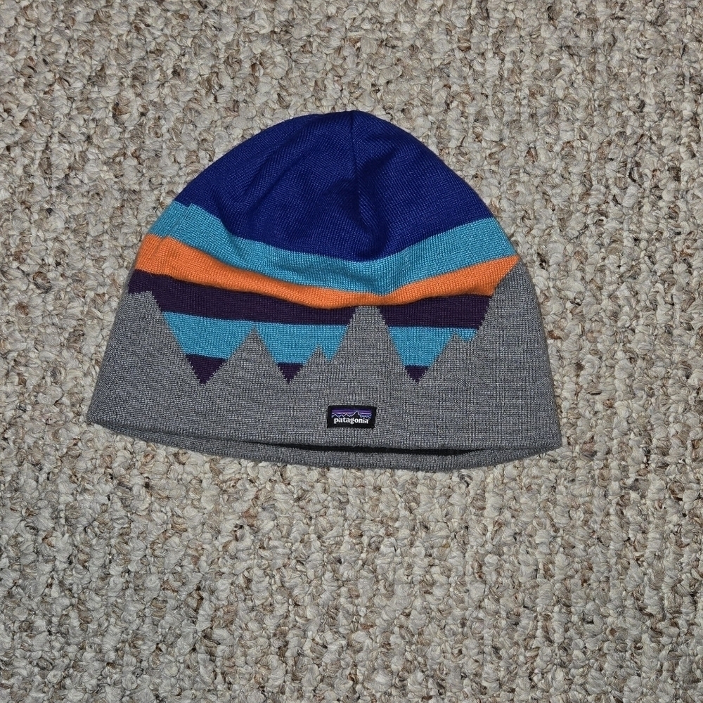 Patagonia Beanie Hat